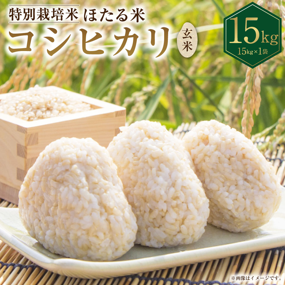 【ふるさと納税】【令和7年度産】 ほたる米 コシヒカリ 玄米 15kg お米 米 コメ こめ 単一原料米 ご飯 ごはん お弁当 おにぎり 岐阜県産 国産 岐阜県 美濃加茂市 送料無料 【2025年10月下旬～2026年1月上旬 発送予定】