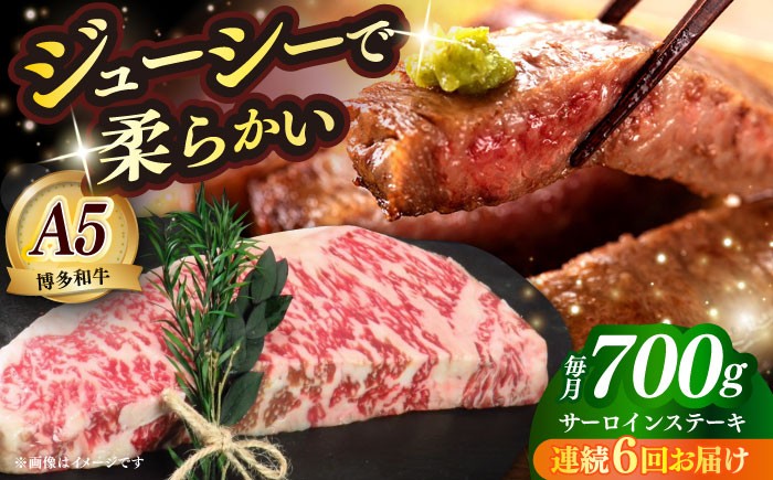 
                  【全6回定期便】国産 博多和牛 A5ランク サーロイン ステーキ 350g×2枚 雌 ≪築上町≫【KRAZY MEAT】 ステーキ 和牛 肉 BBQ [ABEN015] 258000 258000円
                