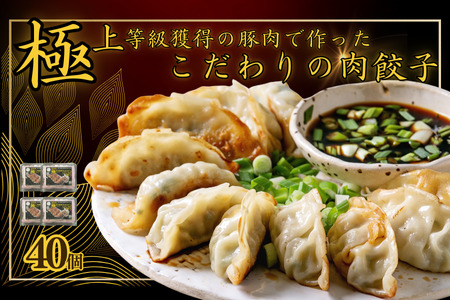 極上等級獲得の豚肉で作った拘りの肉餃子　40個　餃子