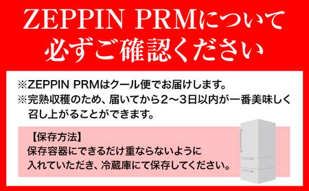 トマト ZEPPIN PRM500g ミニトマト