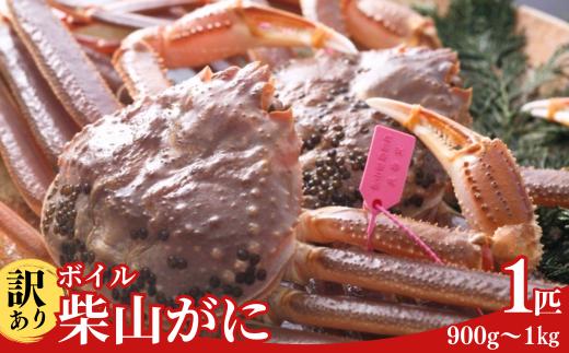 【訳あり ボイル柴山がに（冷凍）900g～1kg 1匹】  カニの本場 香住産 急速冷凍 浜茹で１～2本足折れ 味や品質に問題ありません 数量限定 香住カニ 香美町 香住 日本海 かに ゆで蟹 むき身