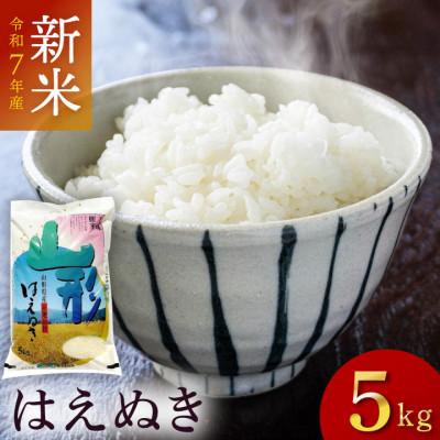 ふるさと納税 鶴岡市 令和7年産はえぬき　精米　5kg×1袋