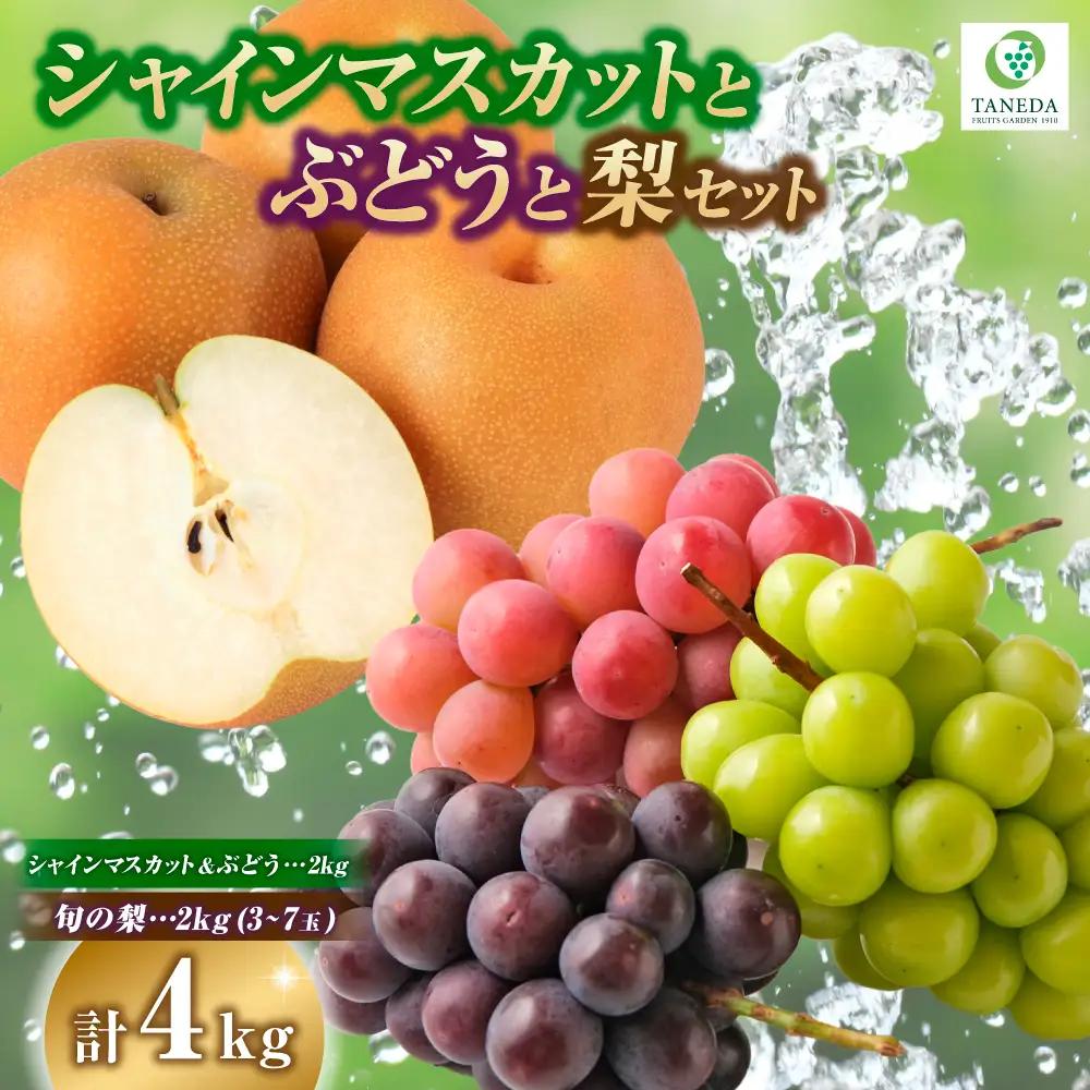 【2027年発送】シャインマスカット 等と 梨 セット 計4kg
