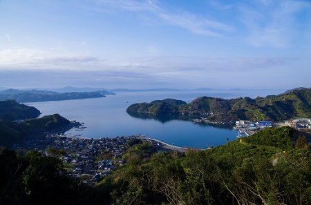 愛媛県明浜産 天晴みかんジュース（温州みかん） 1本