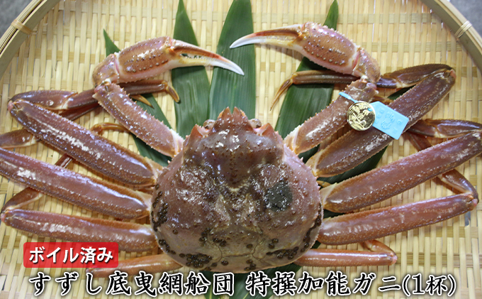 【ボイル済み】すずし底曳網船団 特撰加能ガニ（1杯）