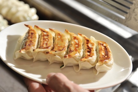 東京餃子楼 冷凍しそ餃子 16個 [にら・ニンニクなし] 自家製ラー油付き【餃子 ギョーザ 肉餃子 惣菜 おかず おつまみ 人気 ご自宅用 お取り寄せ グルメ 冷凍 ギフト プレゼント 贈り物】_0092-003-se7