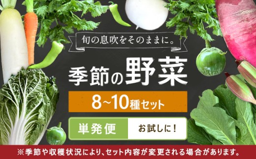野菜 詰め合わせ お任せ セット 季節の野菜セット (8~10種)  単発便 自然野菜のら 《30日以内に出荷予定(土日祝除く)》　千葉県 我孫子市 旬 青果物 やさい【配送不可地域あり】(沖縄・離島) 野菜 セット