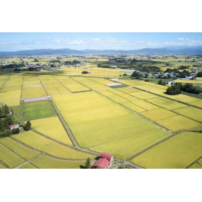 ふるさと納税 川西町 【発送月固定定期便】雪若丸　5kg全6回 |  | 01