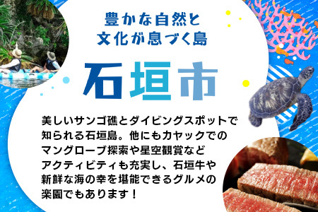 HISの沖縄県石垣市の対象ツアーに使えるふるさと納税クーポン券3,000円分 HS-1