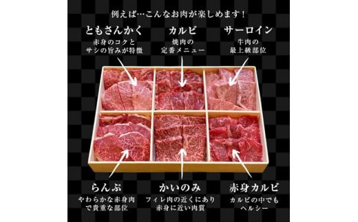 例えば…こんなお肉を食べ比べ
霜降り肉/カルビ系/高級ロース/ももの希少部位/上カルビ系/赤身のカルビ系など♪