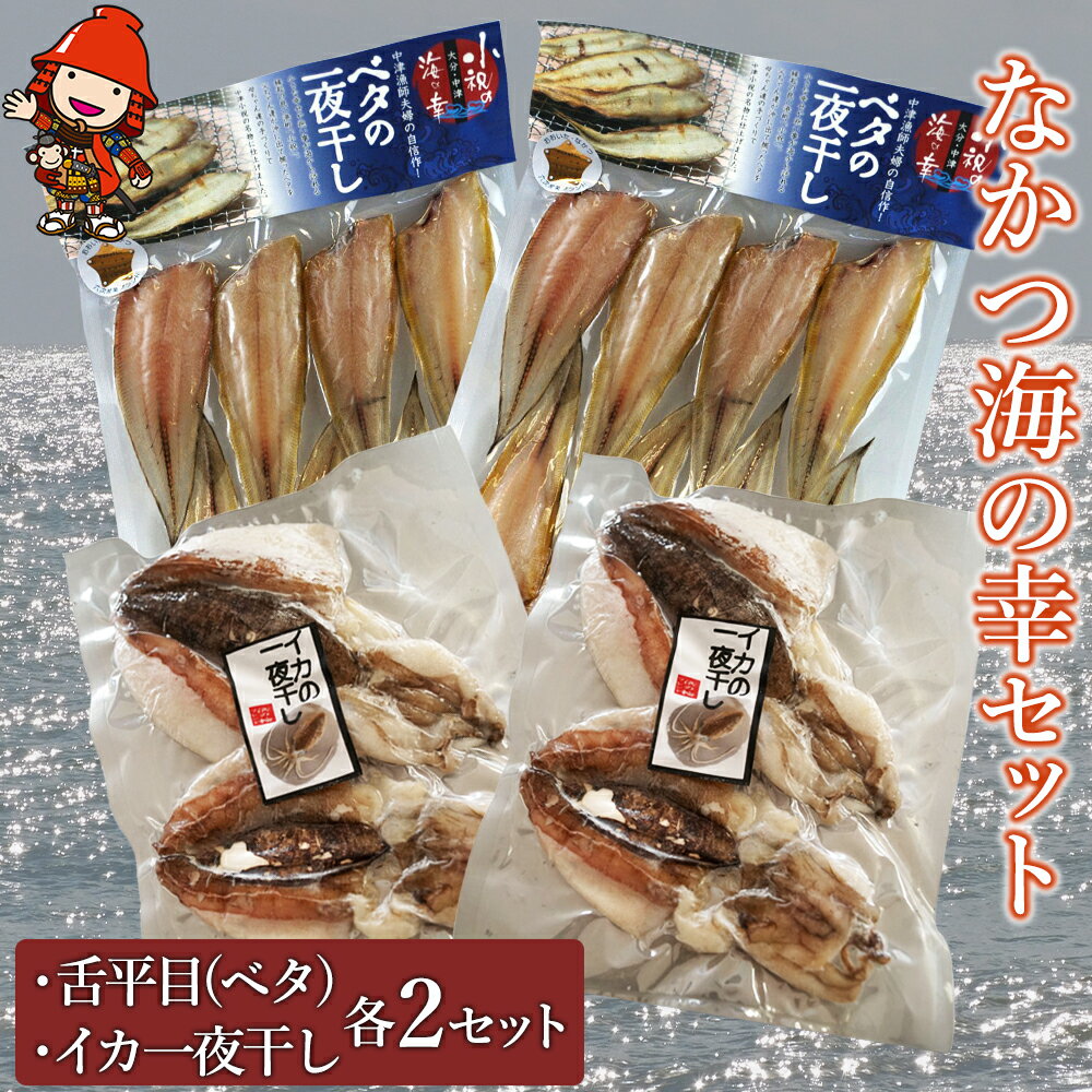 【ふるさと納税】なかつ海の幸セット 舌平目 (ベタ) イカ 一夜干し 各2セット |【冷凍便】 酒の肴 つまみ おかず 焼き魚 大分県産 九州産 中津市 国産 送料無料