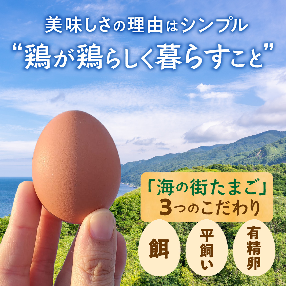 【定期便】飛ぶ鳥農場　海の街たまご　40個×6か月