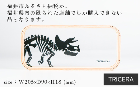 MOHEIM PEN TRAY (TRICERA) [A-053011_02]