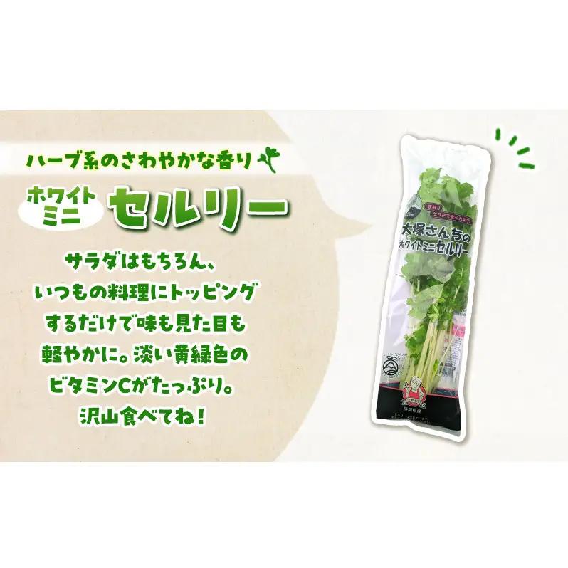 ホワイトミニセルリー 30袋入り 野菜 詰め合わせ セルリー セロリ ミニセロリ 新鮮 産地直送 業務用 大容量 まとめ買い 野菜セット ギフト 詰合せ 常備野菜