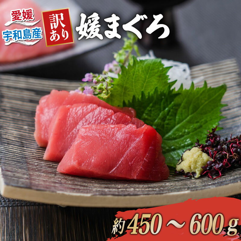 【ふるさと納税】 訳あり 本マグロ ブロック 450〜600g 媛まぐろ ダイニチ 鮪 刺身 国産マグロ 養殖マグロ 本鮪 クロマグロ マグロ 赤身 中トロ 大トロ 部位 指定不可 漬け ネギトロ アレンジ 訳アリ 訳あり品 わけあり 人気 海鮮 国産 愛媛 宇和島 D011-031005