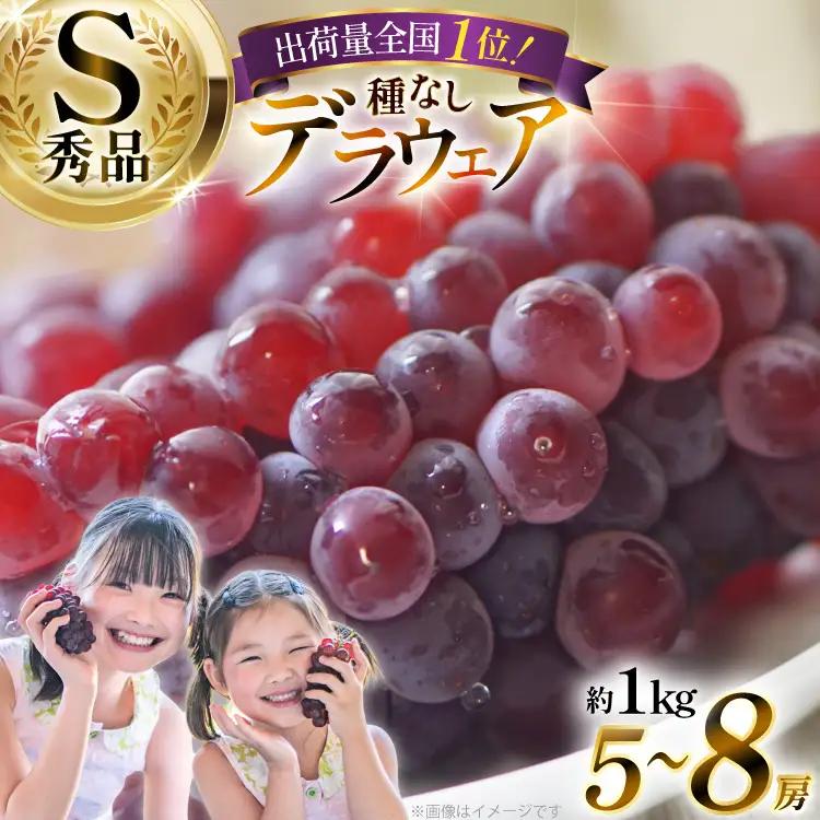 【期間限定発送】 デラウェア 秀品 5～8房 約 1kg [治右衛門果樹園 山形県 高畠町 tk06ays830010]