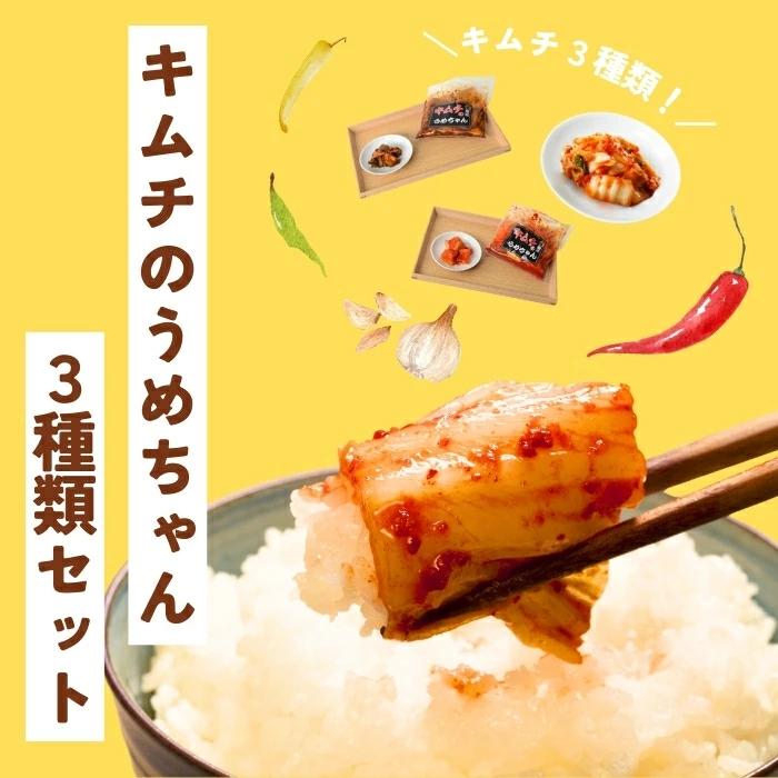 キムチ3種類セット キムチ 総重量850g 手作り 本場の味 発酵食品 韓国 キムチのうめちゃん 奈良県 奈良市 なら 6-010