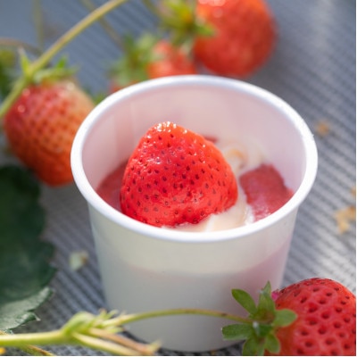 古蓮あまおうアイスクリーム (75ml)×6個(筑後市)【配送不可地域：離島】