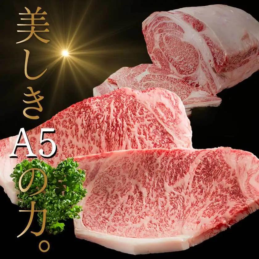 宮崎牛(A5)サーロインステーキ200g×2枚〔28-0102〕_(都城市) 最高級A5ランクの牛肉 宮崎牛サーロイン霜降りステーキ用牛肉 (200g×2枚) 最高等級5等級 国産黒毛和牛 宮崎県産牛