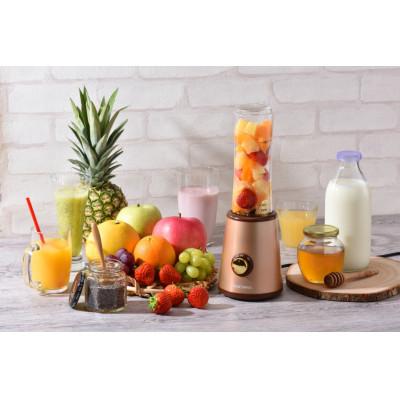 ふるさと納税 田上町 トライタンボトルブレンダー600ml |  | 03