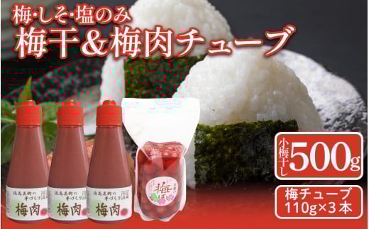 先行予約 梅干 昔ながらの しそ漬け 小梅干し 500g 1袋 梅肉チューブ 110g 3本 詰め合わせ 小梅干 梅肉 《 2025年11月から順次発送予定》 吉野川市 美郷産 梅 うめぼし 便利 安心 手作り 天日干し 梅干 おにぎり 料理 ご飯のお供 常温 ギフト 贈答 送料無料 徳島県 吉野川市 美郷梅工房