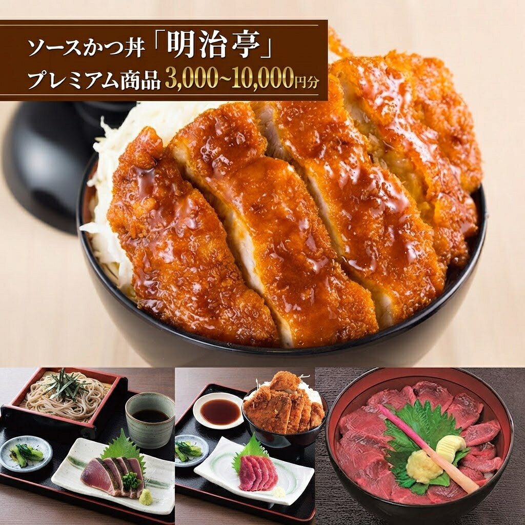 【ふるさと納税】ソースかつ丼「明治亭」プレミアム商品券 選べる（3,000円分～10,000円分） お食事券 チケット