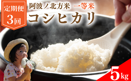 コシヒカリ 定期便 5kg 3回 令和7年産 阿波ノ北方米 1等 米 お米 お米