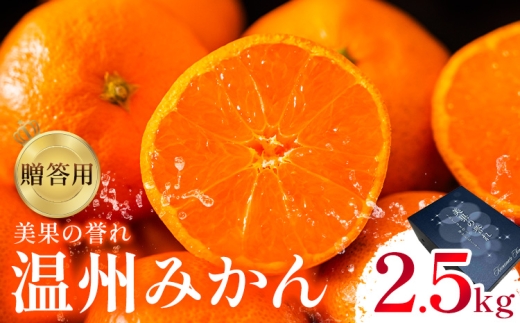 贈答用 温州みかん 約2.5kg 日本フルーツ株式会社 熊本県 荒尾市 《11月上旬-2月中旬頃出荷》 デコポン 果物 秀品 フルーツ スイーツ デザート ギフト ご贈答