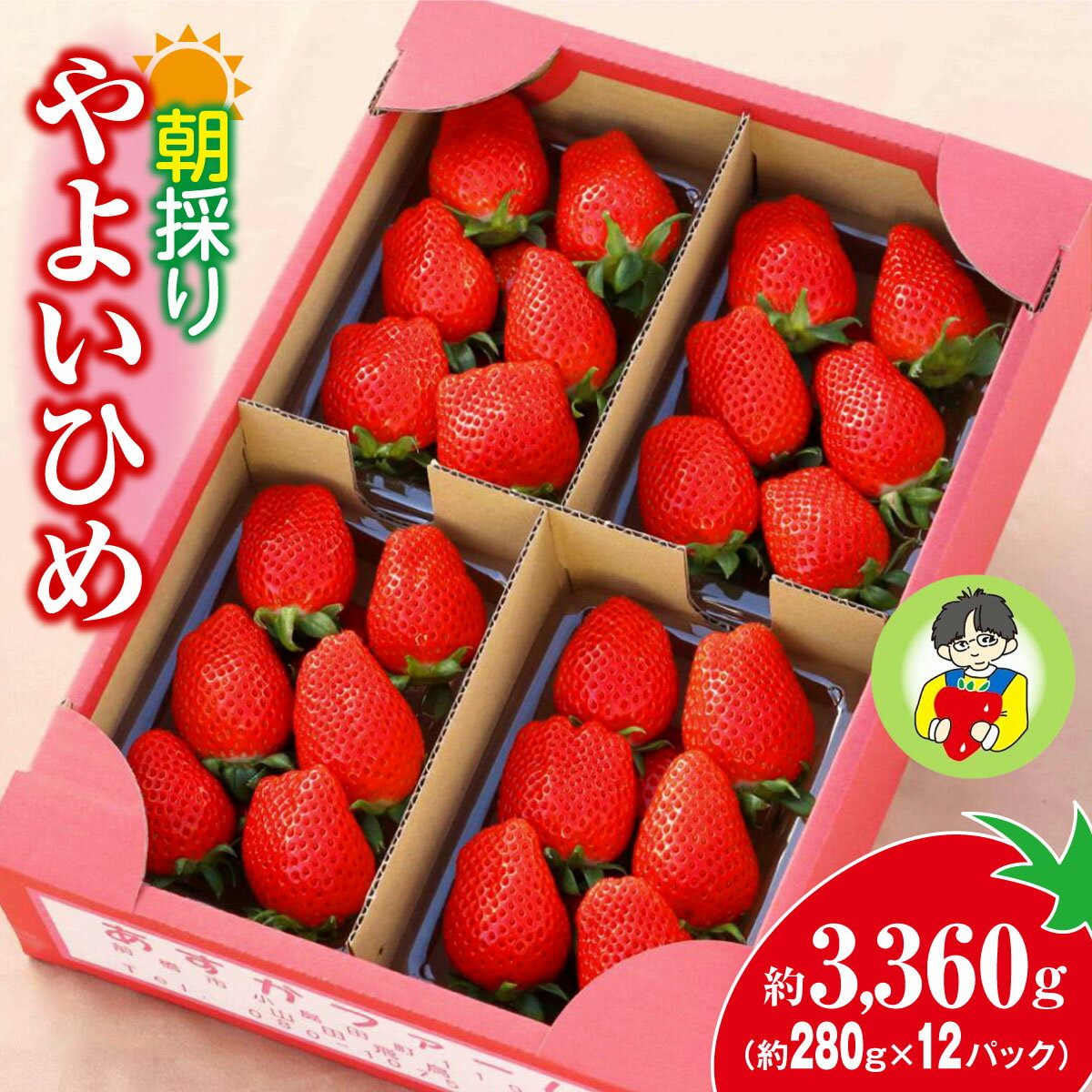 【ふるさと納税】＜2026年 先行予約＞やよいひめ 280g × 12パック｜コク 甘み 朝採れ やよいひめ 大粒 甘み 酸味 バランス 贈答用 新鮮 完熟 いちご 旬 苺 ストロベリー 産地直送 果汁 甘い あまい 人気 高評価 減農薬 美容 健康 旨味 高糖度 ごほうび 群馬県 前橋市 R5-81