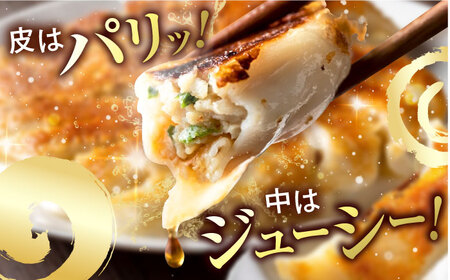 訳あり 本格　肉餃子 100個セット[AKHQ006]餃子