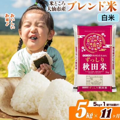 ふるさと納税 大仙市 米《11ヶ月》  ブレンド米【白米】5kg|22_ssn-040511h_sf