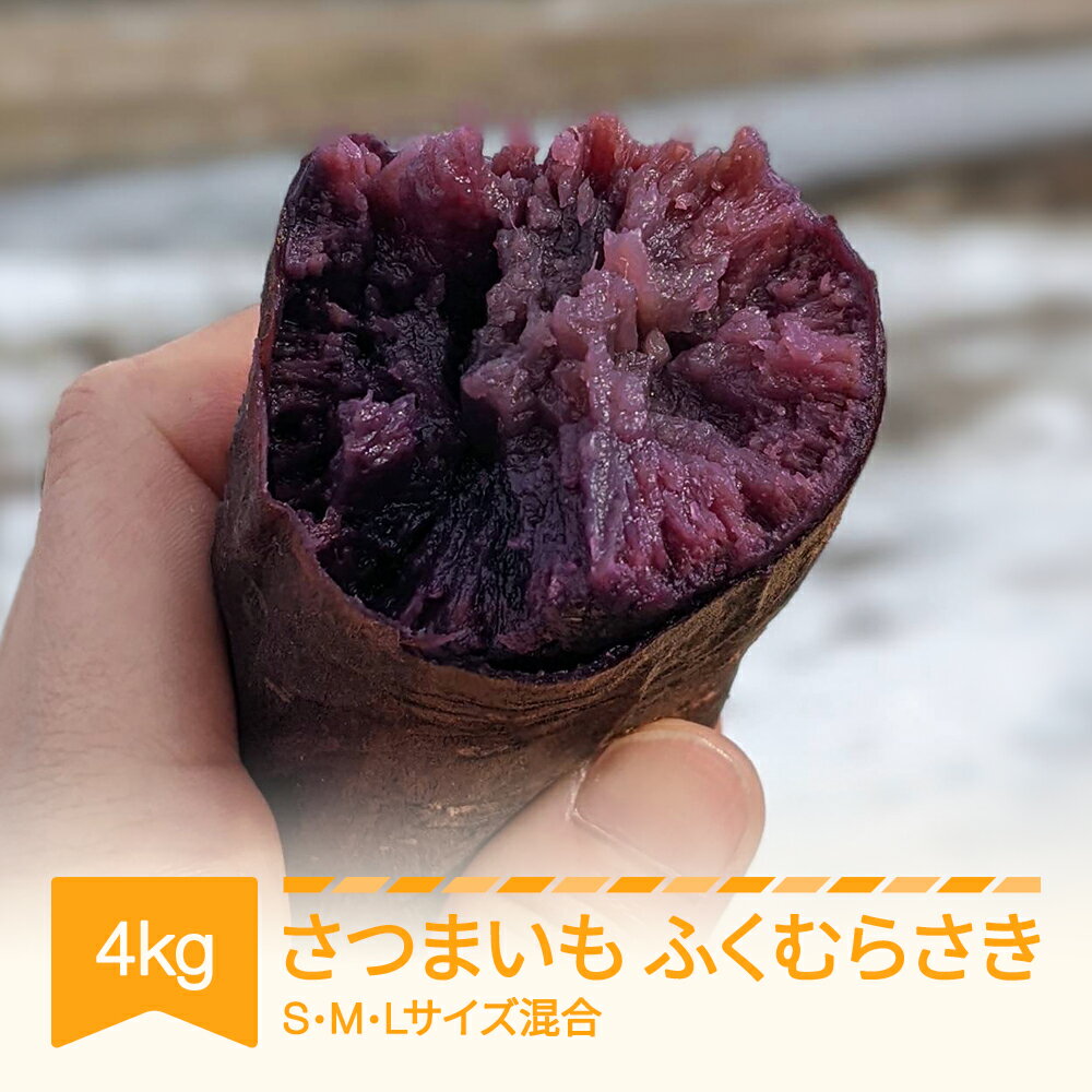 【ふるさと納税】さつまいも ふくむらさき 紫芋 村山市産 約4kg 2025年産 令和7年産 送料無料 山形県産 ※沖縄・離島への配送不可