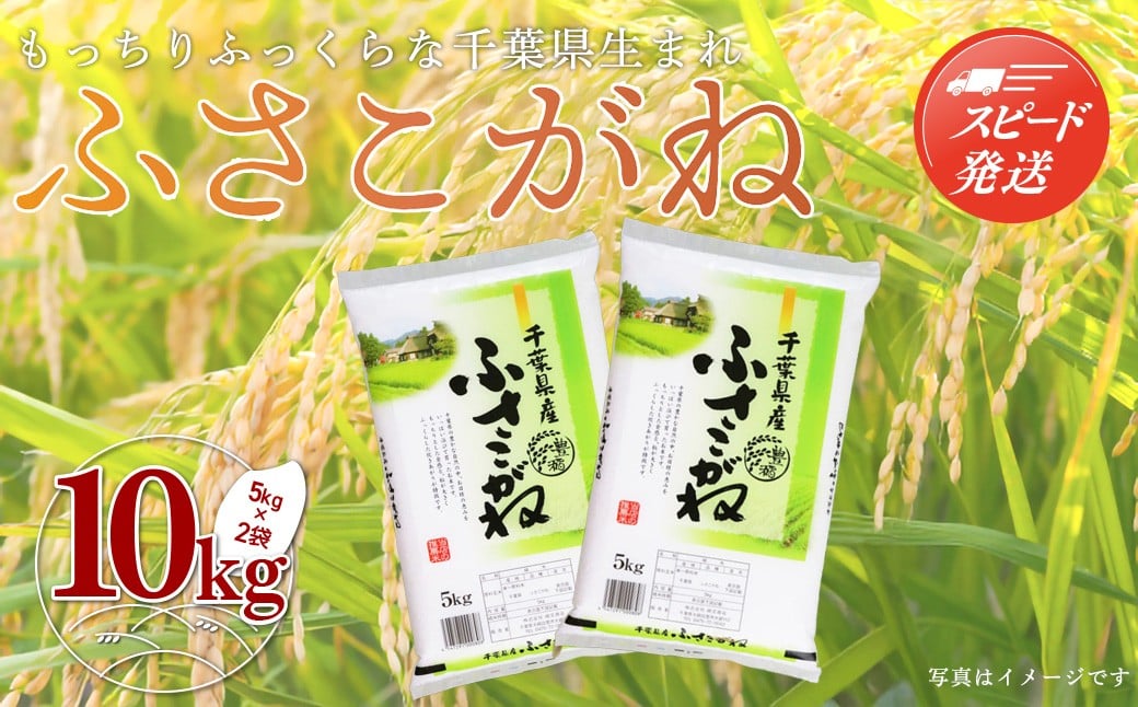 
                  【最短2～7営業日出荷】令和7年産 千葉県産「ふさこがね」10kg（5kg×2袋） お米 10kg 千葉県産 大網白里市 ふさこがね 米 精米 こめ 送料無料
                