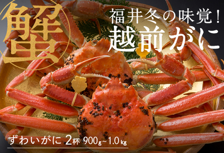 【産地直送】先行予約！　福井冬の味覚！越前がに（900g～1kg）× 2杯　2024年11月15日以降発送