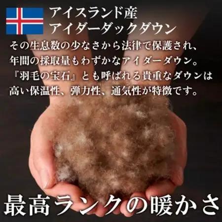 本掛け羽毛布団(シングル・ブルー)二層キルトアイダーダウン95% お任せカバー付【甲州羽毛ふとん】【1502693】