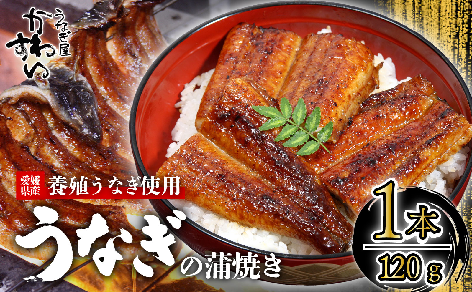 〈うなぎ屋かわすい〉愛媛県松山市養殖うなぎを使用！うなぎ蒲焼 1本 (1尾：120〜149g) ｜うなぎ ウナギ 鰻 蒲焼き 国産 お取り寄せ グルメ ふるさと納税 簡単調理 土用丑の日 ギフト 贈り物 お中元 お歳暮 母の日 父の日 かわすい 川口水産 愛媛県 松山市