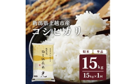 令和7年産 先行予約 新潟県上越市名立区産 コシヒカリ 棚田米 「灘立銀嶺米 光」  15kg 上越市 精米 米 コメ ブランド米