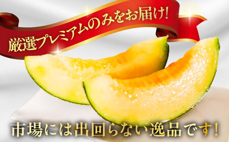 アールスメロン 2玉 / メロン 南島原市 / うえだメロン園[SAD004]