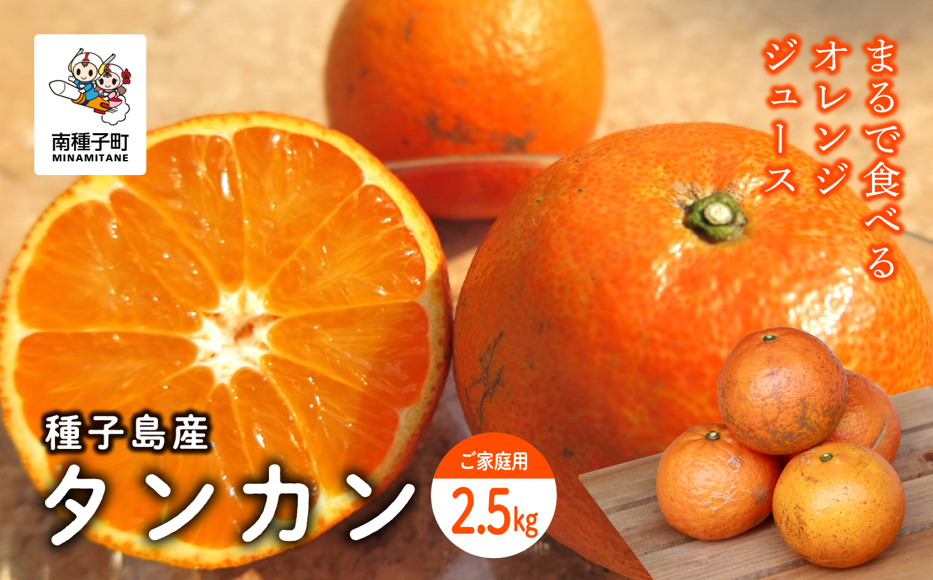 《 先行予約 》【2026年2月中旬〜3月中旬頃順次発送】種子島産タンカン(ご家庭用)約2.5kg（12〜18玉）【南種子町果樹部会】
