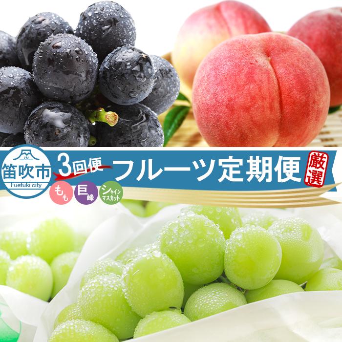 【3回定期便】 桃 巨峰 シャインマスカット 154-028-26y
