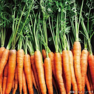 ふるさと納税 糸島市 【全3回定期便】【福岡県糸島産】朝採れ 野菜 セット(8品前後)  [AGE006] |  | 01