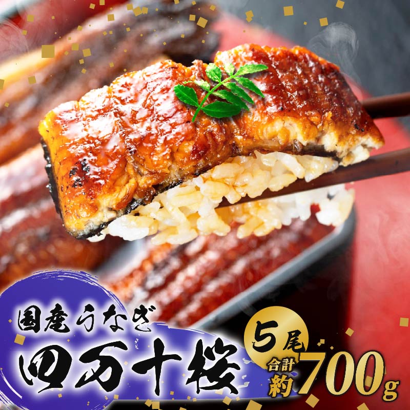 【ふるさと納税】極上国産うなぎ四万十桜 蒲焼き約140g×5尾 | うなぎ 鰻 蒲焼き 国産 四万十鰻 白焼き 調理済み タレ付き ギフト（お歳暮/お正月）高級 お取り寄せ グルメ 食べ比べ 冷凍
