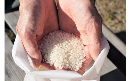 【年6回偶数月お米定期便】モッチモチのお米！ミルキークイーン4kg×6回　計24kg[G7013]