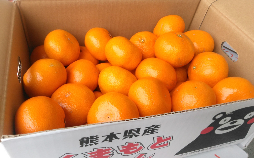 
            みかん 5kg サイズ2L～2S 蜜柑 ミカン フルーツ 果物 くだもの 柑橘 熊本産 九州産 【2025年10月下旬～2026年2月下旬発送予定】
          