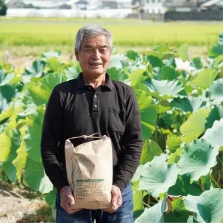 米 ヒノヒカリ 5kg 京都府 久御山町産　令和7年産米 精米 ふるさと納税【1706537】
