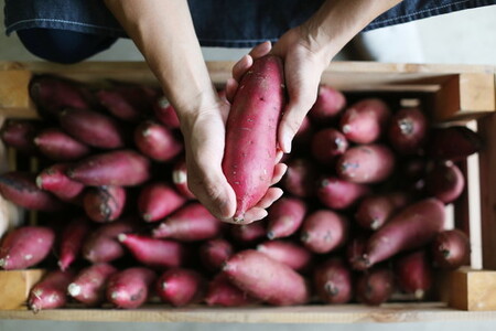珍しい！つぼ焼きいもの干しいも 120g×3パック入り　※北海道・沖縄・離島への配送不可