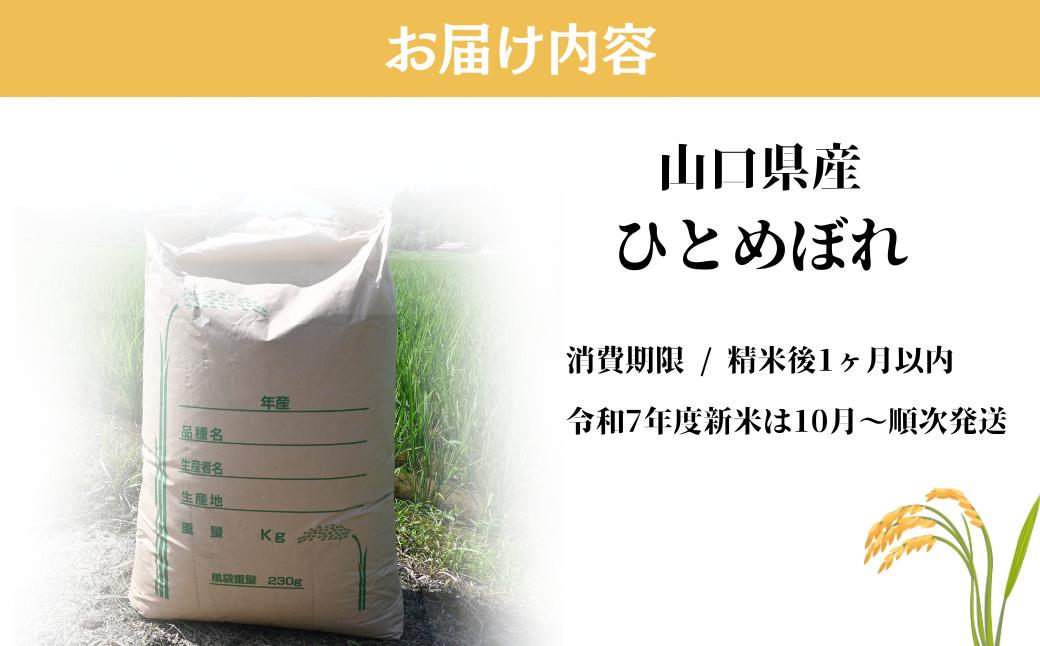 【先行予約／令和7年新米】 ひとめぼれ 5Kg ［玄米］［山口県宇部産］ 【令和7年 新米 ひとめぼれ 5Kg 玄米 山口県産 宇部産 地元米 農家直送 宇部市産 美味しい お米 寒暖差 霜降山麓 綺