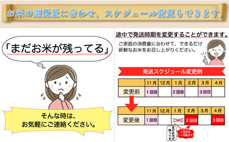 ＜令和7年産米＞ 令和8年2月下旬より発送 特別栽培米 つや姫【無洗米】60kg定期便(20kg×3回) 山形県真室川町　◆RR7T6020M-M2602C
