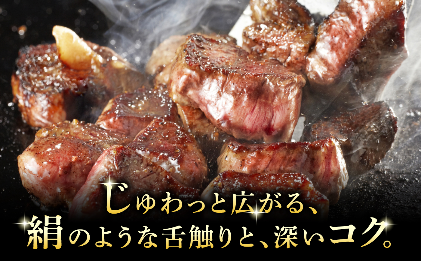 A5等級 飛騨牛 サイコロステーキ 赤身 500g (約250g×2P) 瑞浪市 / マルチョウ渡辺精肉店 牛肉 和牛 国産 ギフト お取り寄せ [AZCW005] 赤身