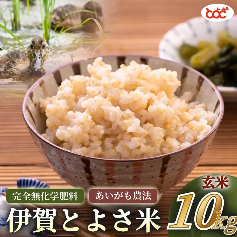 完全無化学肥料　あいがも農法　伊賀とよさ米【玄米】10kg【tysk0006】